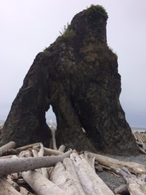 So many cool haystack rocks to check out