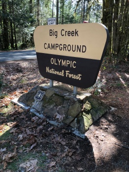 Big Creek Campground in Olympic National Forest